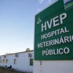 1o.10.-Hvep.-Foto-Tony-Oliveira-Agencia-Brasilia3