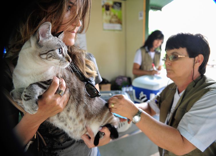 Brasília - A Secretaria de Saúde do Distrito Federal realiza, neste sábado (22), campanha de vacinação antirrábica para cães e gatos, na área urbana (Marcelo Camargo/Agência Brasil)