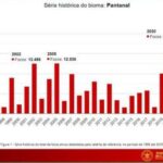 Relatório de combate aos incêndios florestais em MS