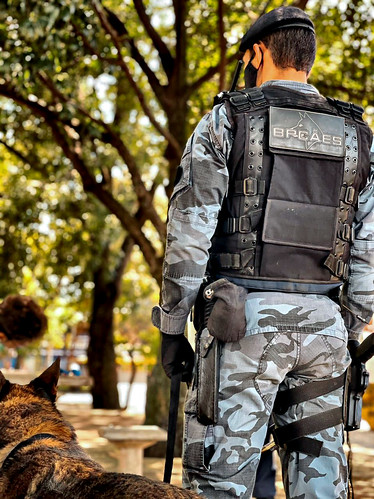 Batalhão de Policiamento com Cães - BPCães