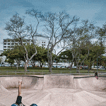 300×600 Skate