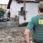 Ibama