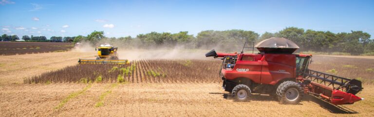 Goiás tem superávit de US$ 826 milhões na balança comercial de julho