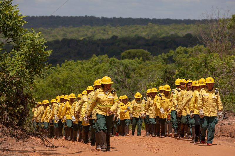 unnamed - 2025-10-31T095248.109