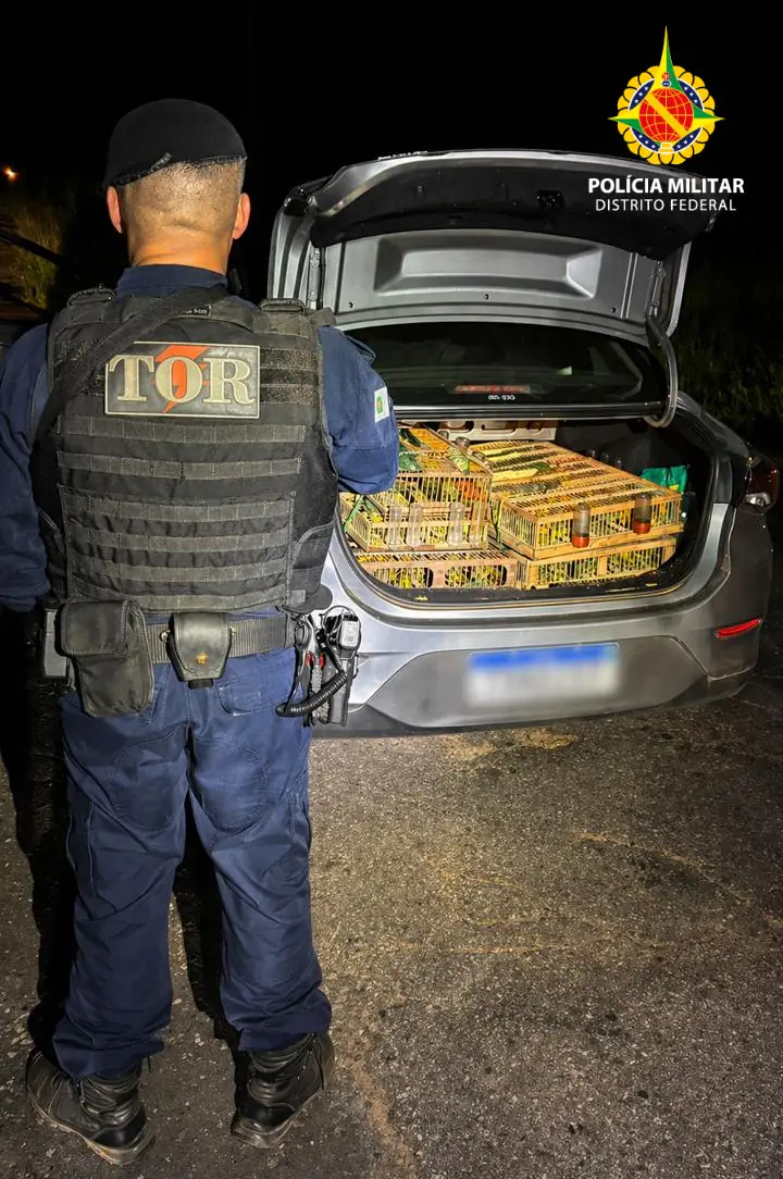 PMDF Intercepta Tráfico Interestadual de Aves e Salva Mais de 300 Pássaros em Planaltina