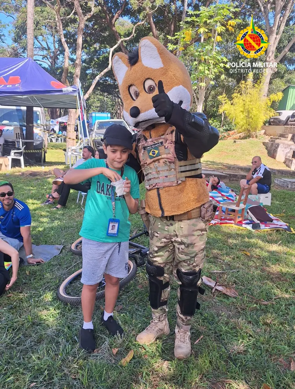 Lobo Guará é Avistado no Eixão Atípico