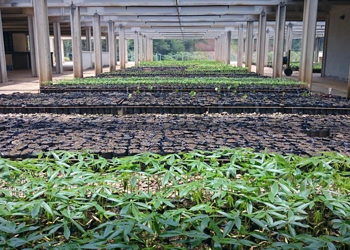 Saneago seleciona propriedades rurais para doações de biossólido