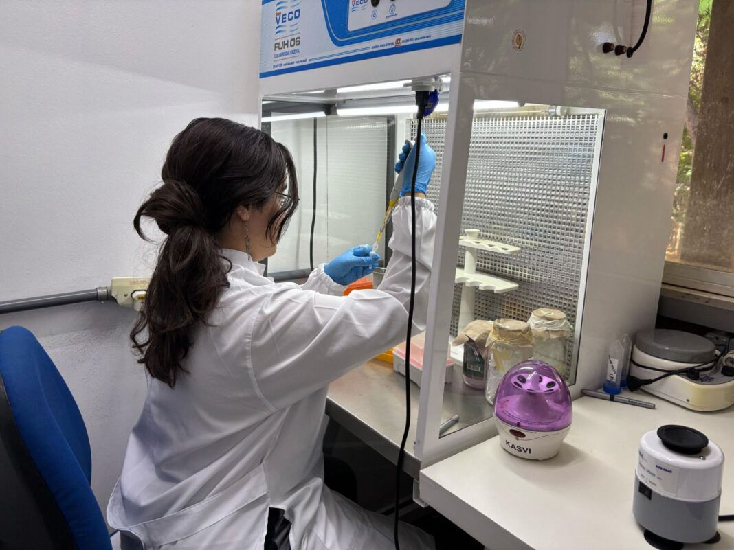 Fapeg publica resultado final do edital de bolsas para mestrado e doutorado