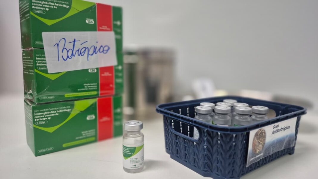 Saúde fornece orientações sobre primeiros socorros em casos de picadas de cobra