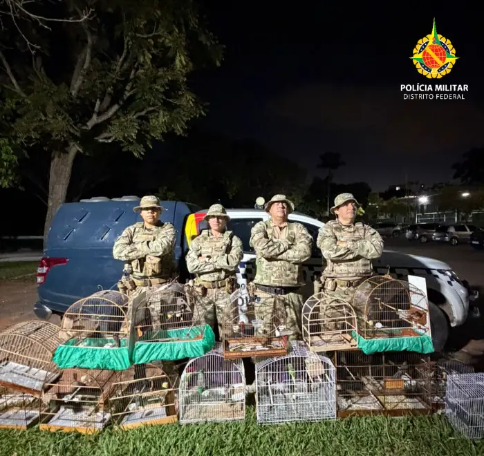 Batalhão de Polícia Militar Ambiental da PMDF continua a trajetória de conquistas