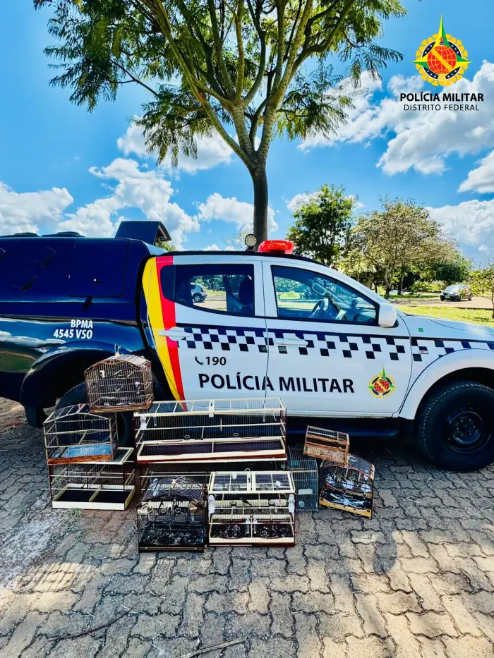 PMDF encontra aves da fauna brasileira em condomínio agrícola Privê, na Ceilândia