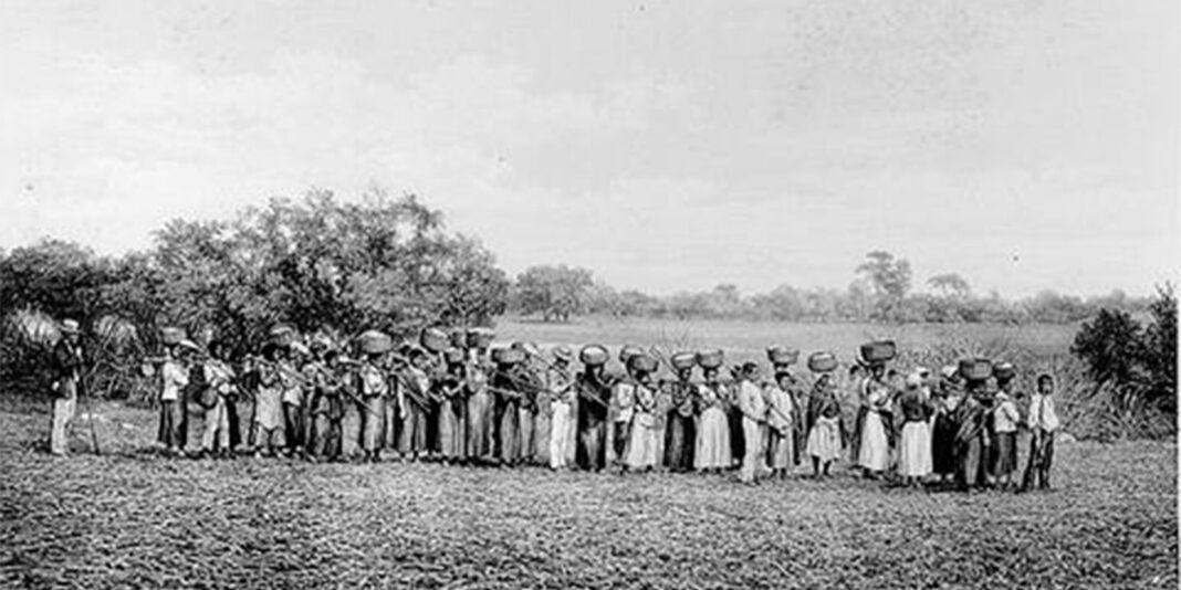 Estudo revela que a maioria dos empresários que apoiou a ditadura possui origem em famílias escravistas