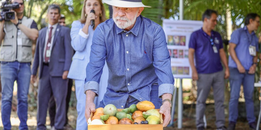 Lula ressalta a relevância da qualidade do agronegócio para o aumento das exportações