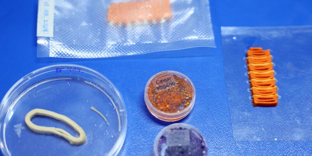 Embrapa desenvolve em laboratório salmão, caviar e anéis de lula veganos