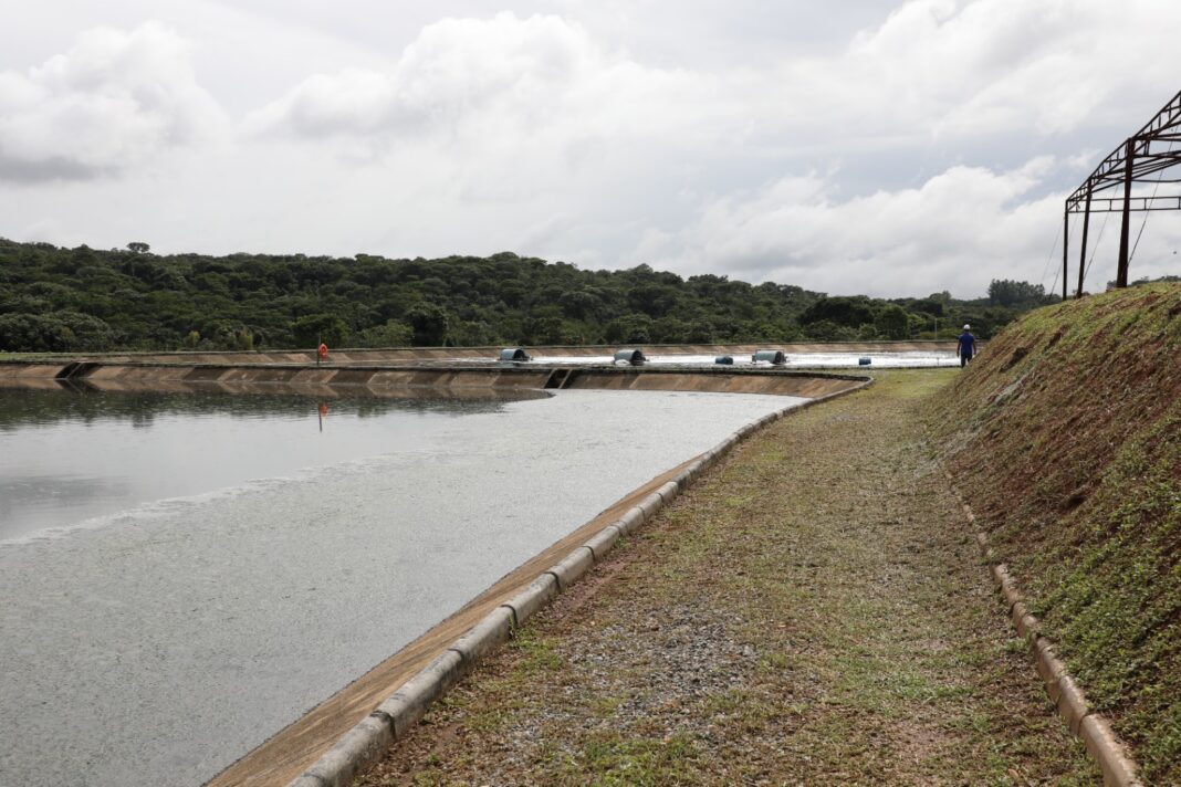 Usuários da Saneago em Goianésia poderão renegociar débitos de esgotamento sanitário