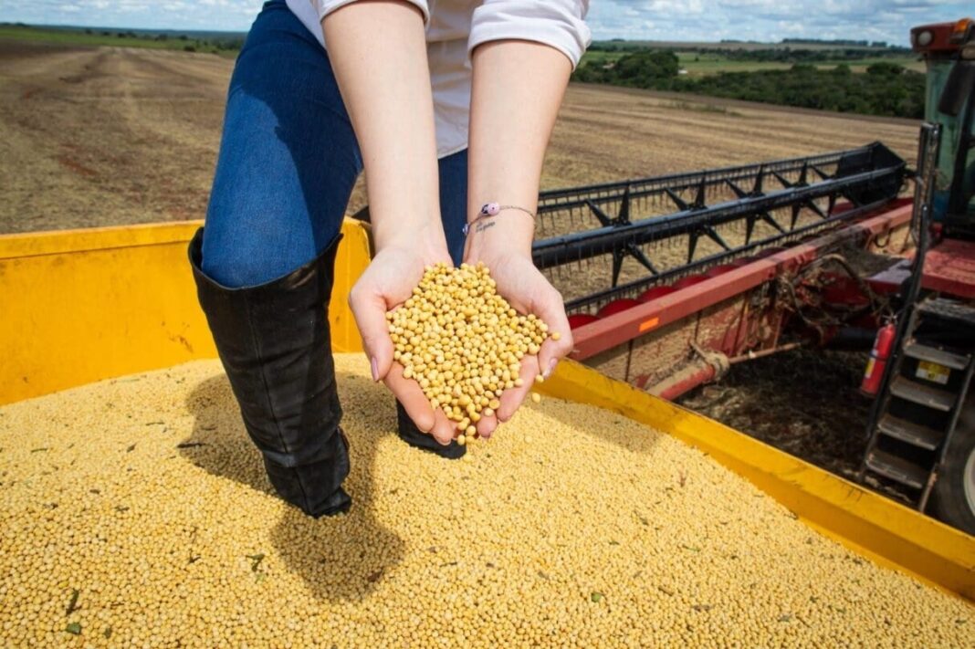 Balança comercial de Goiás apresenta superávit de US$ 1,047 bilhão em abril