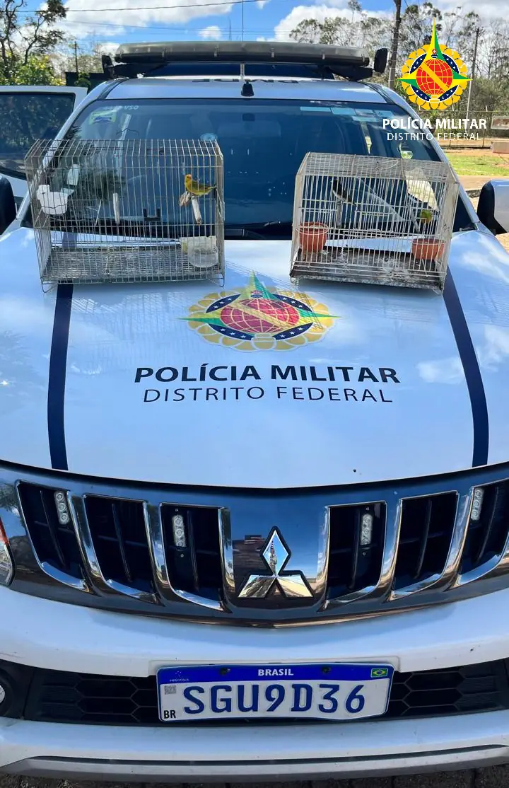 PMDF Autua Dois Indivíduos por Crime Ambiental e Apreende Aves Silvestres em Ceilândia
