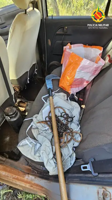 PMDF Flagra Parcelamento Irregular do Solo e Crime Ambiental em Sobradinho
