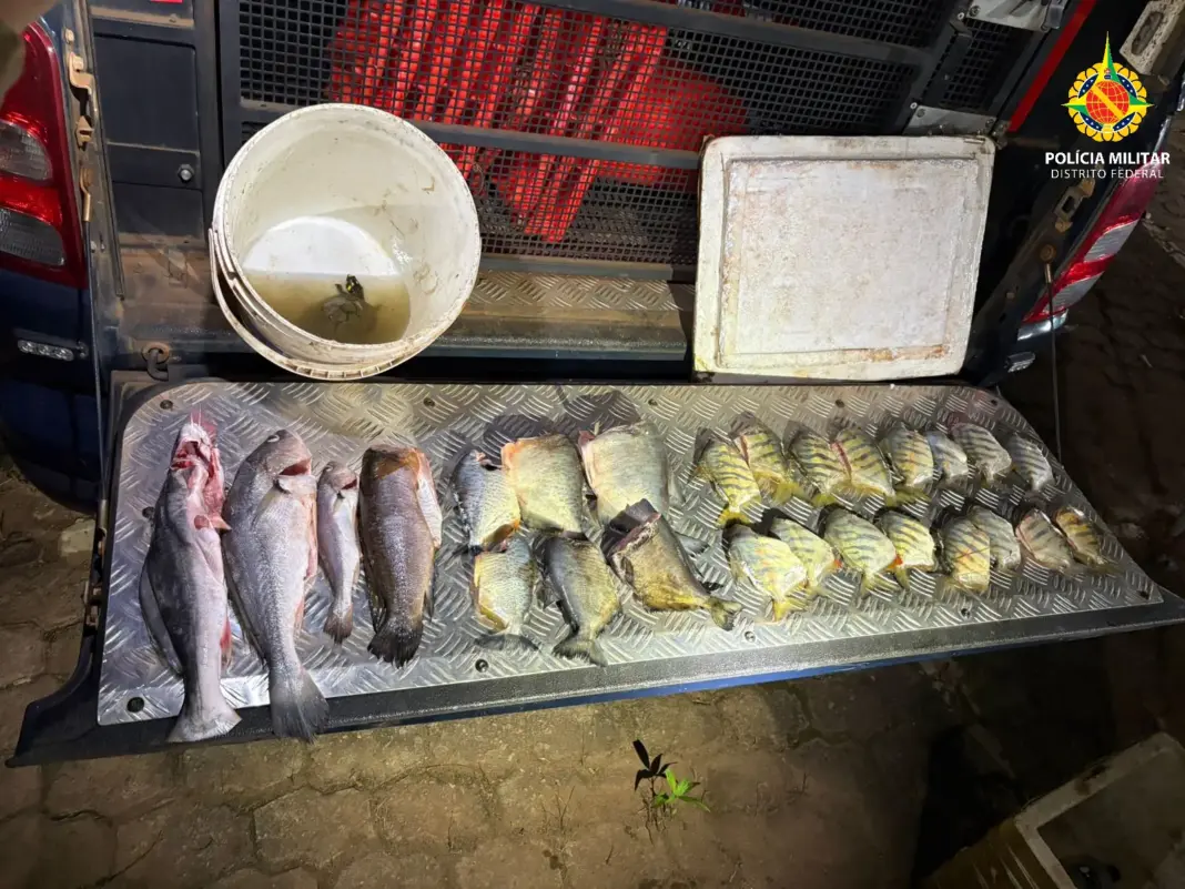 PMDF apreende pescado e animal silvestre em transporte irregular durante barreira ambiental em Brazlândia
