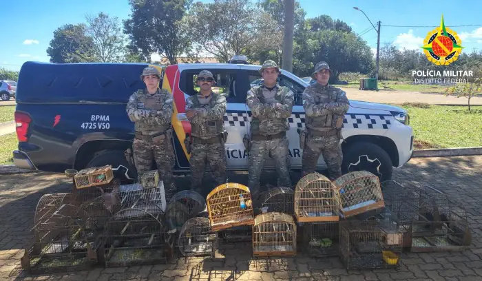PMDF Resgata 28 Aves Silvestres e Autua Quatro Infratores em Brazlândia