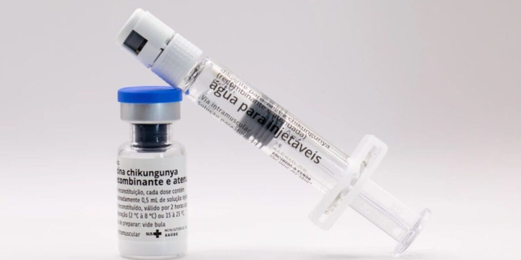 Butantan anuncia produção de vacina nacional contra chikungunya