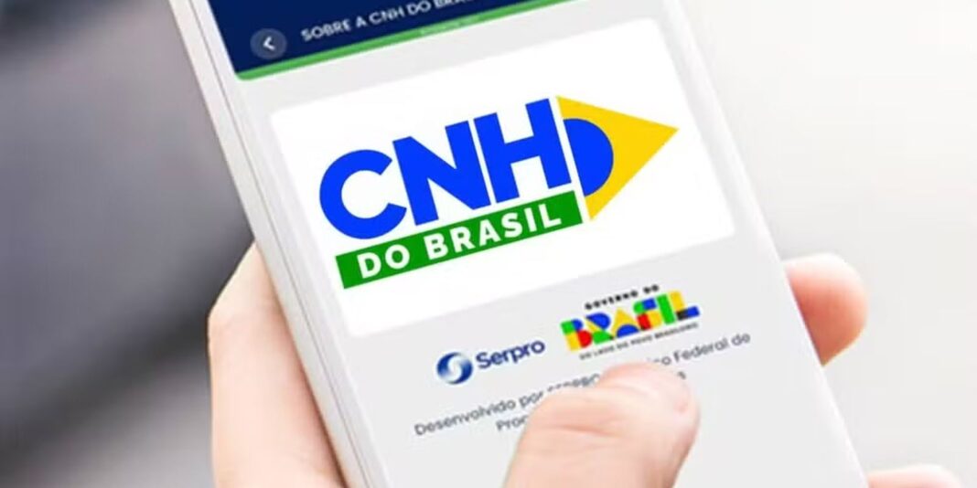 Câmara aprova medida provisória que institui renovação automática da CNH