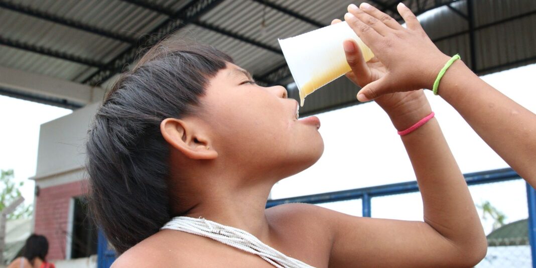Aumento no consumo de alimentos ultraprocessados entre comunidades tradicionais