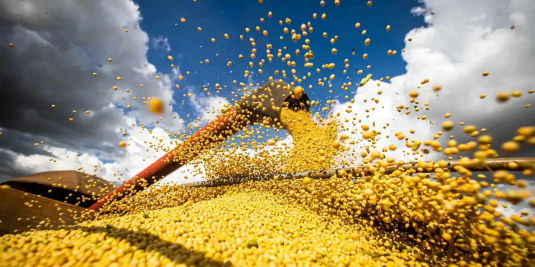 Conab projeta produção de grãos de até 358,6 milhões de toneladas