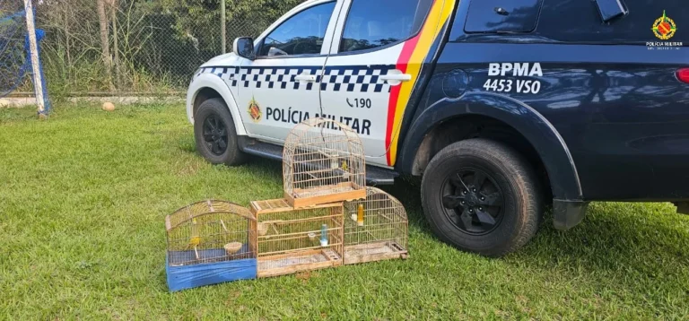 PMDF Flagra Reincidente por Crime contra a Fauna no Varjão