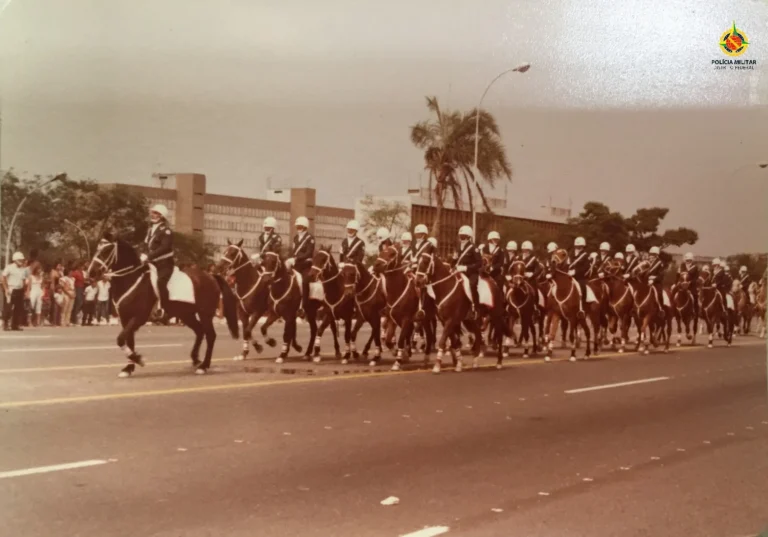 PMDF celebra 44 anos do Regimento de Polícia Montada nesta terça-feira