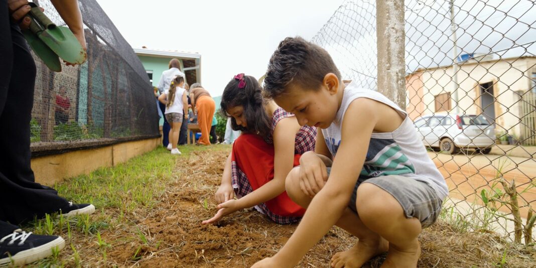 Projeto premiado em escola rural é orientado por saberes tradicionais e natureza