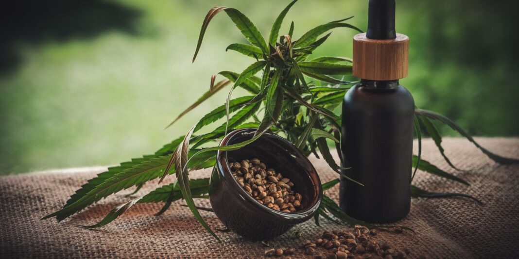 Projeto oferece apoio a mães e crianças com condições atípicas tratadas com cannabis