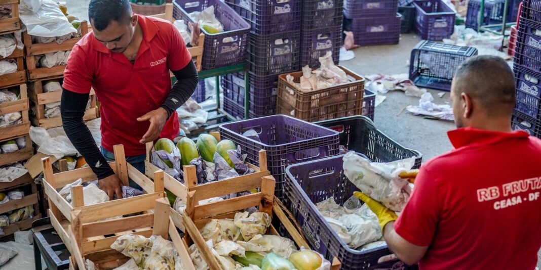 Governo divulga liberação de R$ 97,3 bilhões em crédito para agricultores familiares