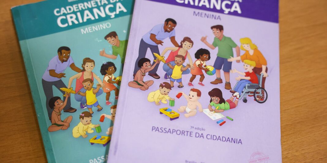 Vacinação com a Pneumo 20 pelo SUS terá início em duas semanas, afirma Padilha