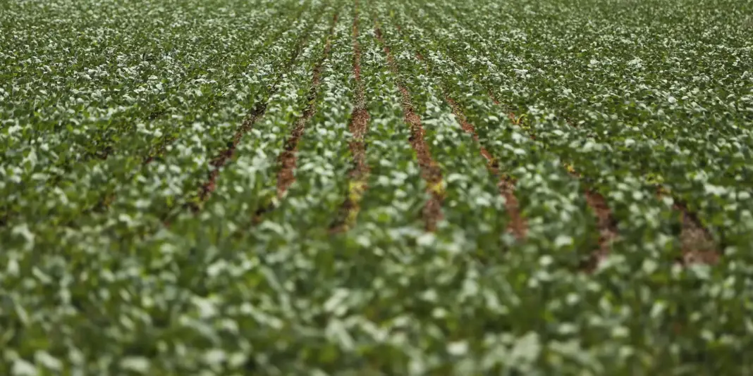 Impasse entre bancada do agronegócio e governo sobre renegociação de dívidas rurais persiste