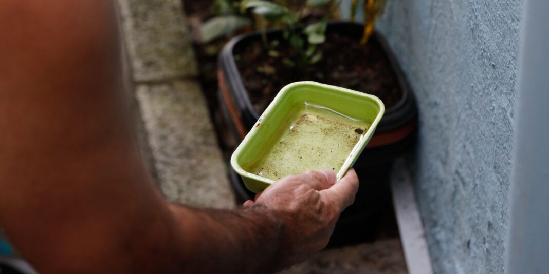 El Niño pode elevar incidência de chikungunya e dengue no Brasil