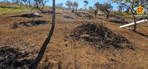 PMDF prende dois suspeitos por crime ambiental em área de preservação em São Sebastião