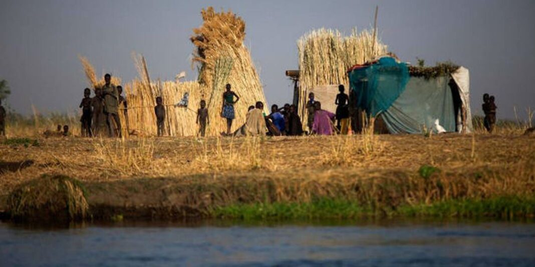 Relatório da ONU indica que 645 milhões de pessoas enfrentam fome no mundo