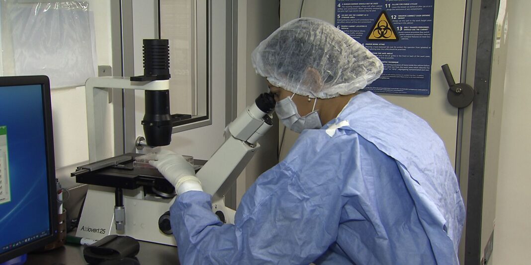 Cientistas revelam avanços no tratamento de pacientes infectados com HIV