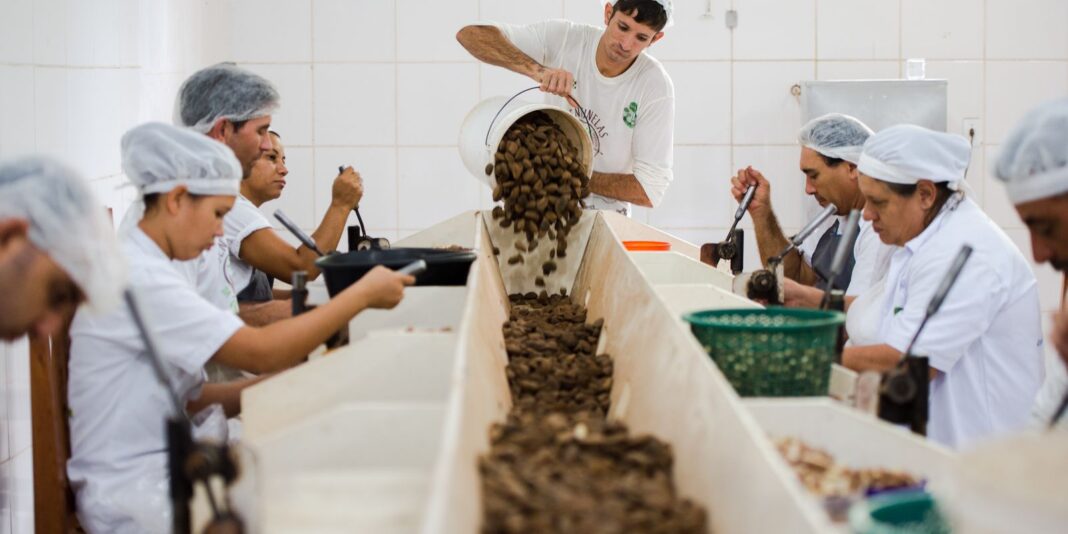 Consulta sobre bens sustentáveis no acordo Mercosul–UE termina na quarta-feira