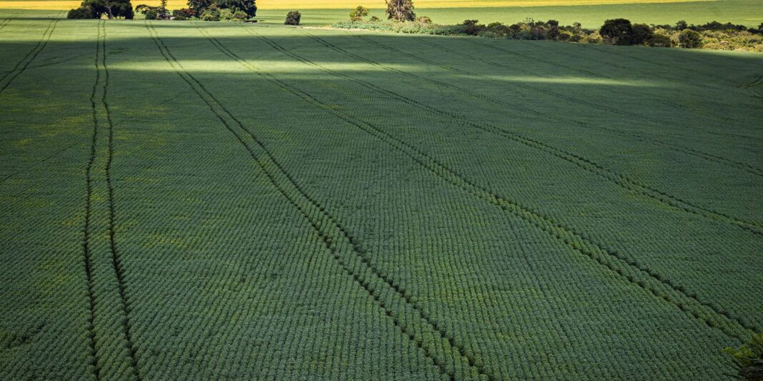 Senado aprova projeto para produção de fertilizantes no Brasil