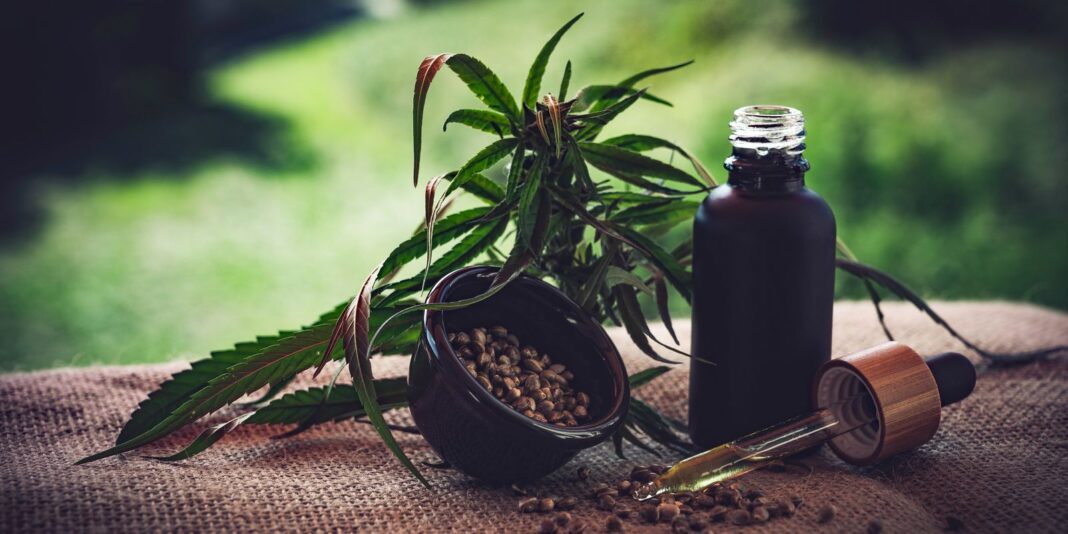 Associações apontam lacunas nas normas sobre cannabis