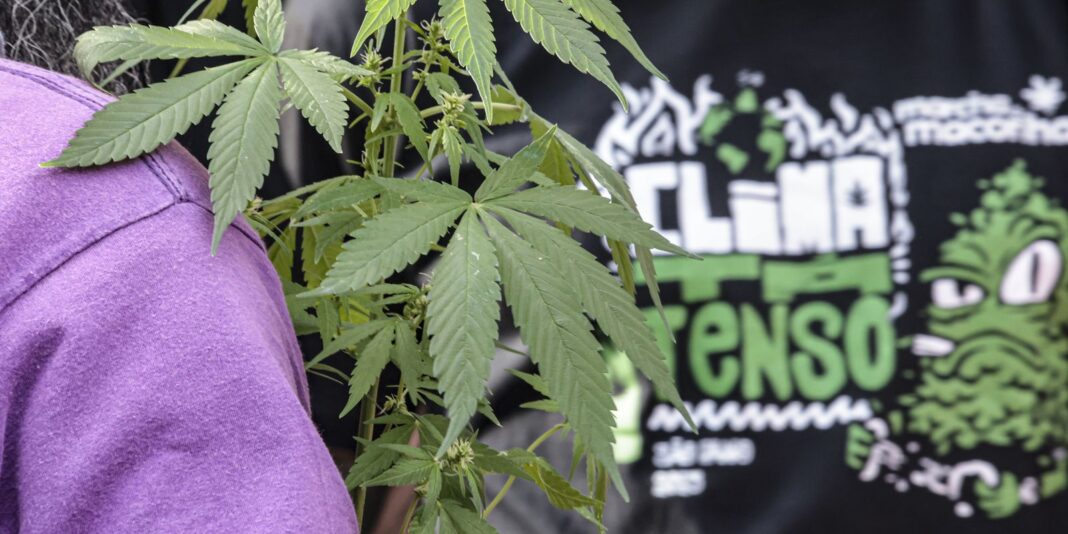 Prisões em flagrante por drogas geram maior número de prisões preventivas em comparação a outros crimes