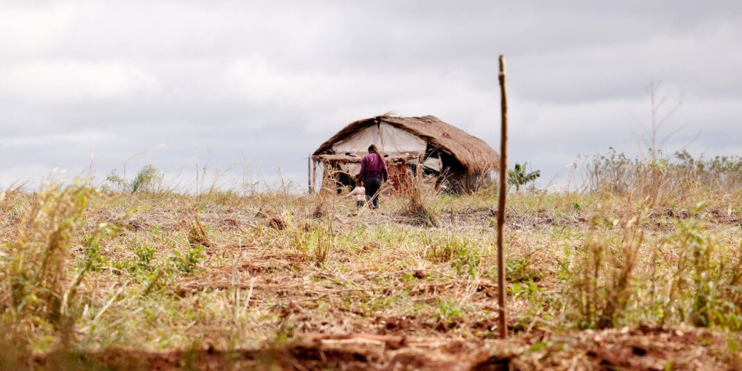 Número de assassinatos no campo diminui, mas conflitos agrários aumentam